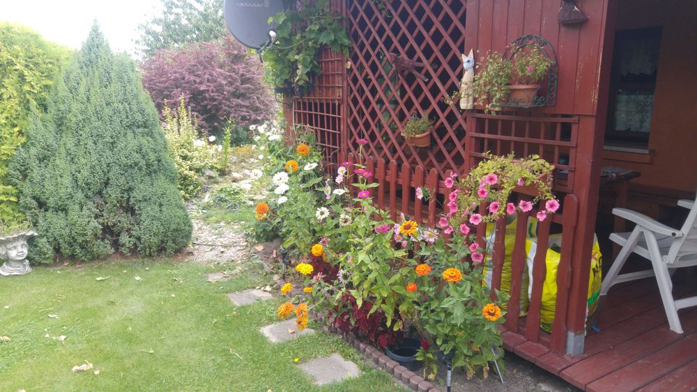 Działka rekreacyjna ROD Wiarus - Bolesławiec