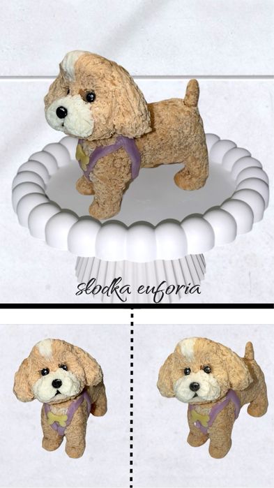 Piesek z masy cukrowej saracino.