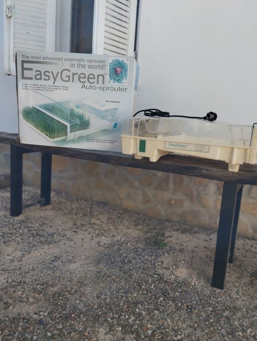 Easy green auto-sprouter