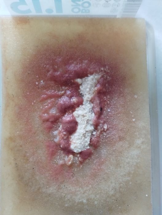 AULOFORUS żywy pokarm dla ryb