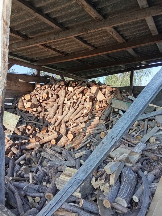 Drzewo pocięte dąb,buk, sosna