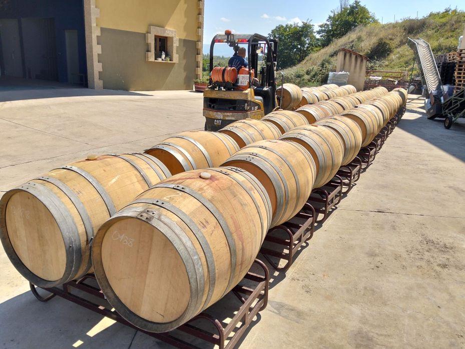 Lotes barricas 225L em madeira de carvalho