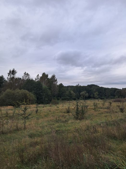 Продаж Земельної ділянки