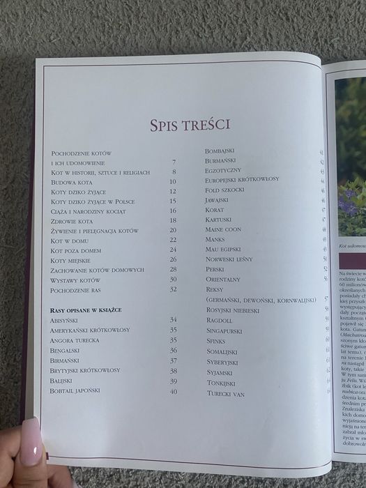 Ksiazka koty izabela wierzbowska