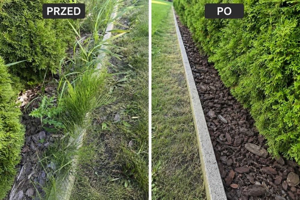 Koszenie trawników, wycinka drzew, prace porządkowe