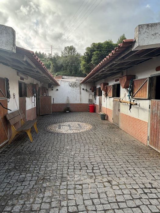 Aceitamos cavalos a penso