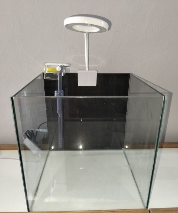 Aquário cubo 25x25x25 com led e filtro cascata