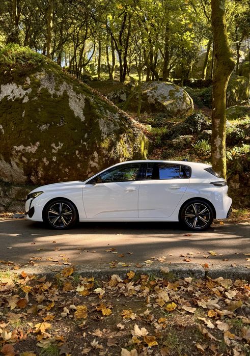 Peugeot 308 Active Pack 1.5ehdi 130cv
