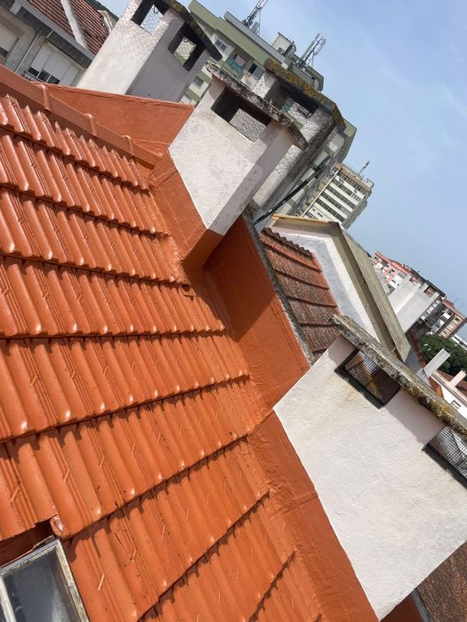 Lavagem de telhado e limpeza de algerozes  " Visita técnica grátis "