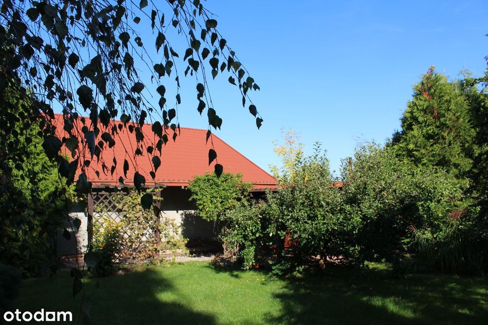 Dom – Palędzie - Więcej