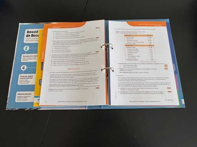 Conj. Pedagóg. - Economia - Profissional - "Ser Economia"- (M:5/6/7/8)