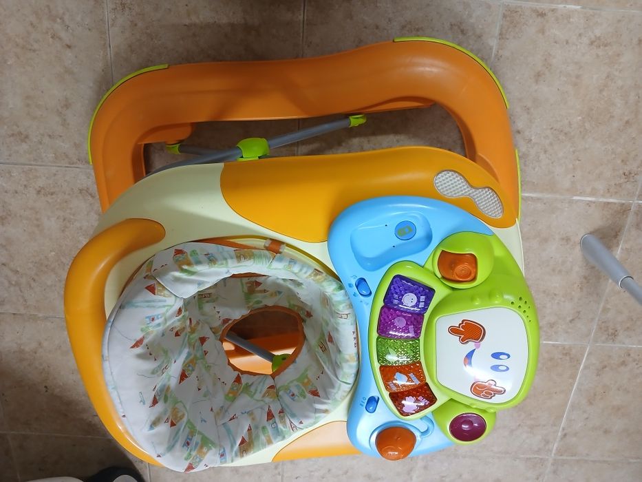 Aranha Andarilho - Chico