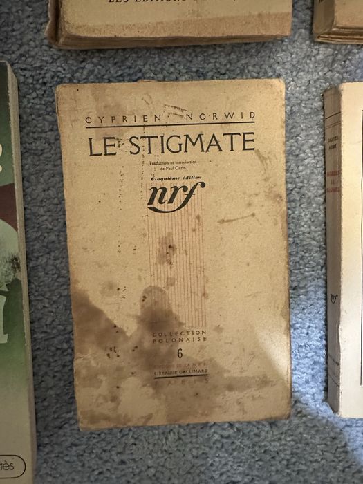 Lote de 14 livros Franceses