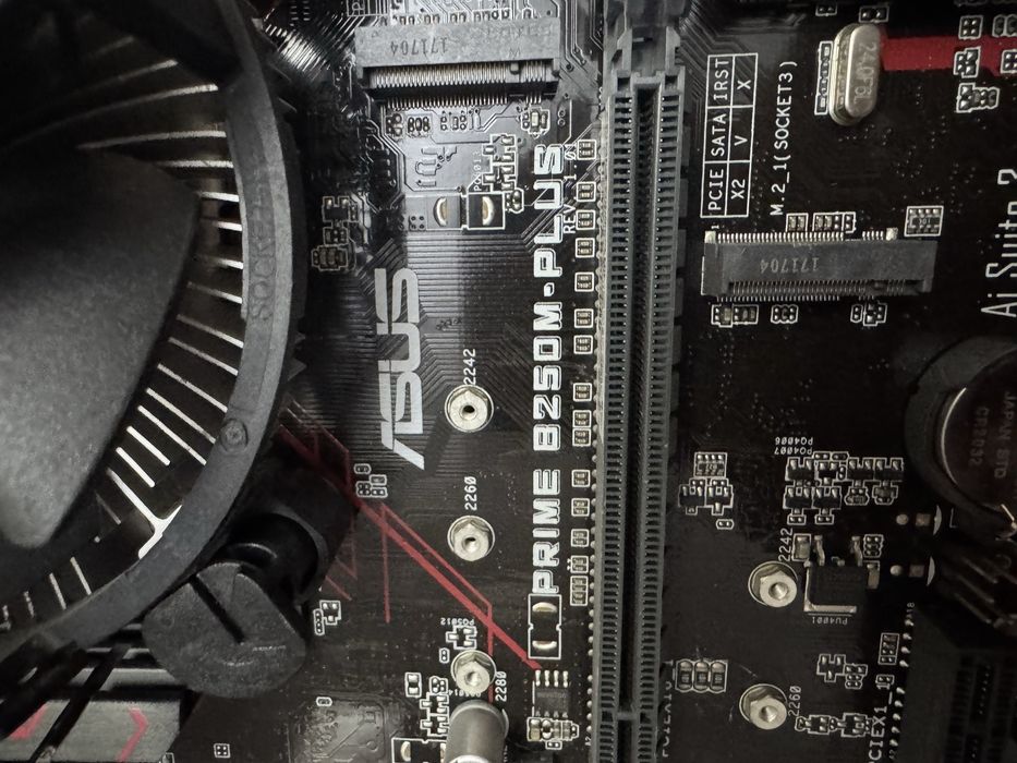 Asus Prime B250M-Plus  i5-7500