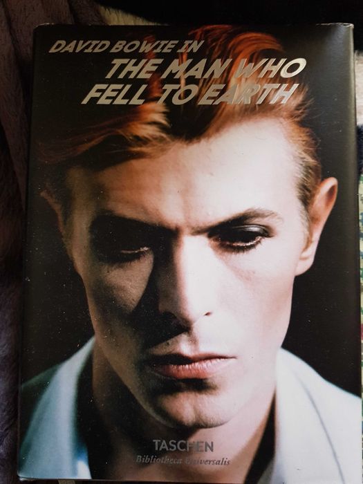 David bowie, the man who felt to earth