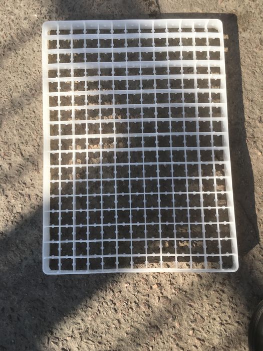 Лоток для курячих яєць 88 штук