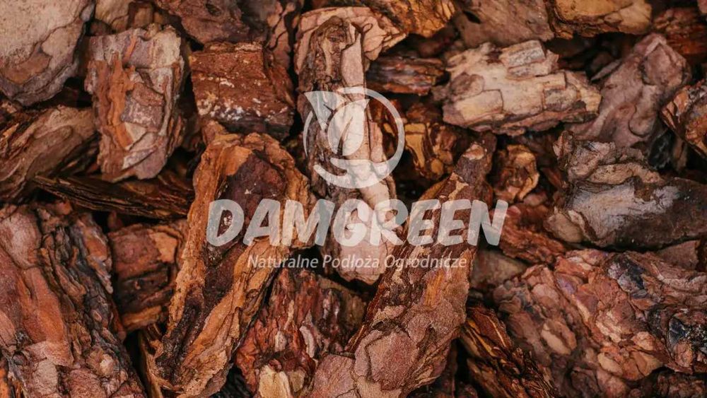 Kora Sosnowa 80L Transport Gratis