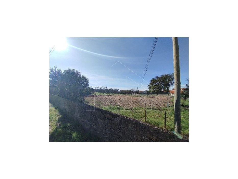 Terreno em Oliveira do Bairro