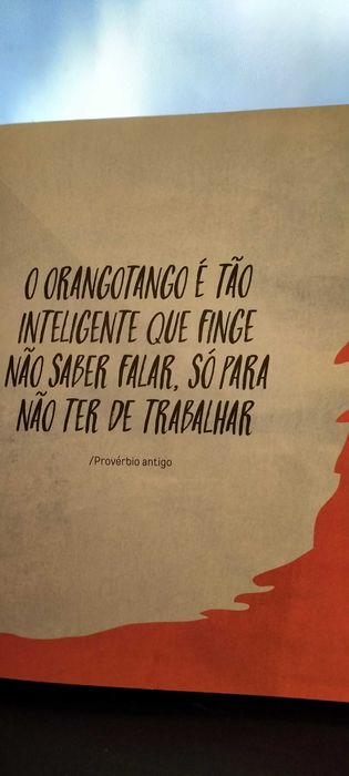 Porque adoramos orangotangos437840394752501761