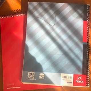 Manuais c/ CA -EV e ET 5/6 ano