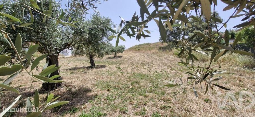 Terreno em Azambujeira e Malaqueijo de 3650,00 m2