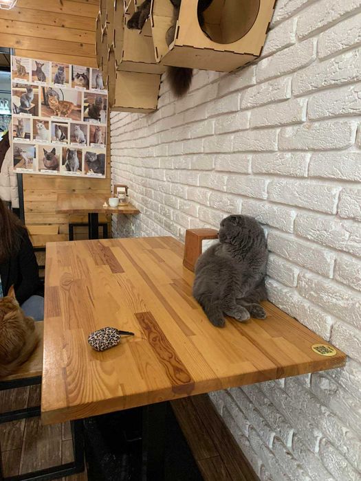 Коммерческая недвижимость по адресу Франко Ивана ул. (площадь 138 м²) - Atlanta.ua - фото 3