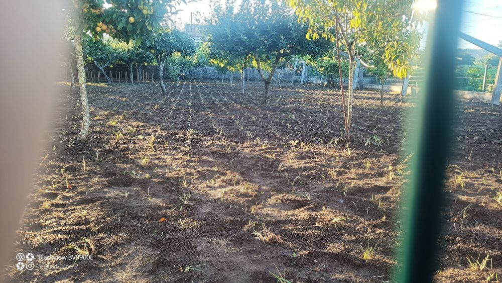 Escalracho para entrega ou envio