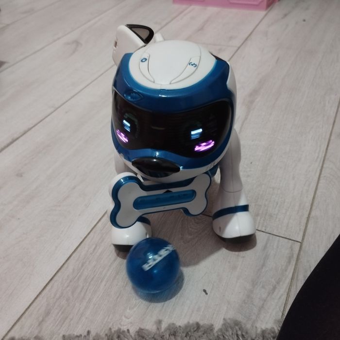 Robopies interaktywny, piłka, kość.