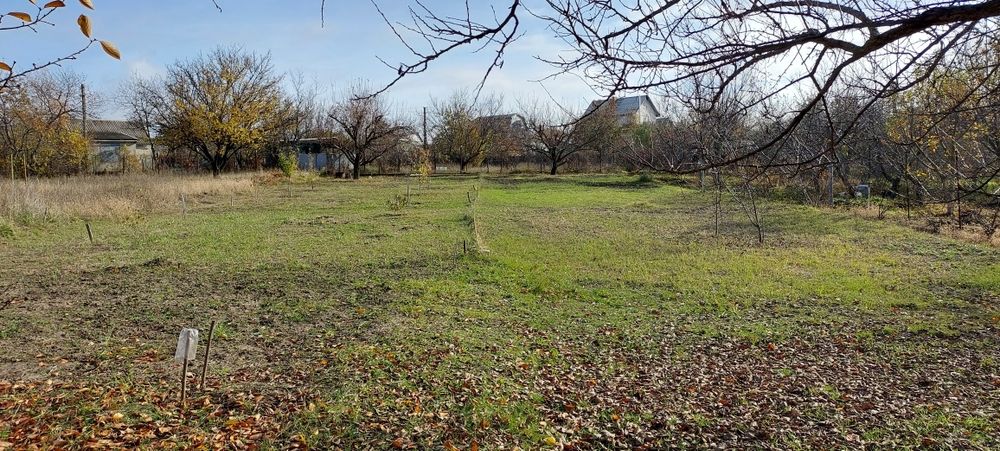 Дача, Соловьиная роща