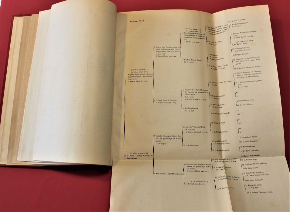 Arvores de Costado genealogia de Simão de Gusmão Correia Arouca