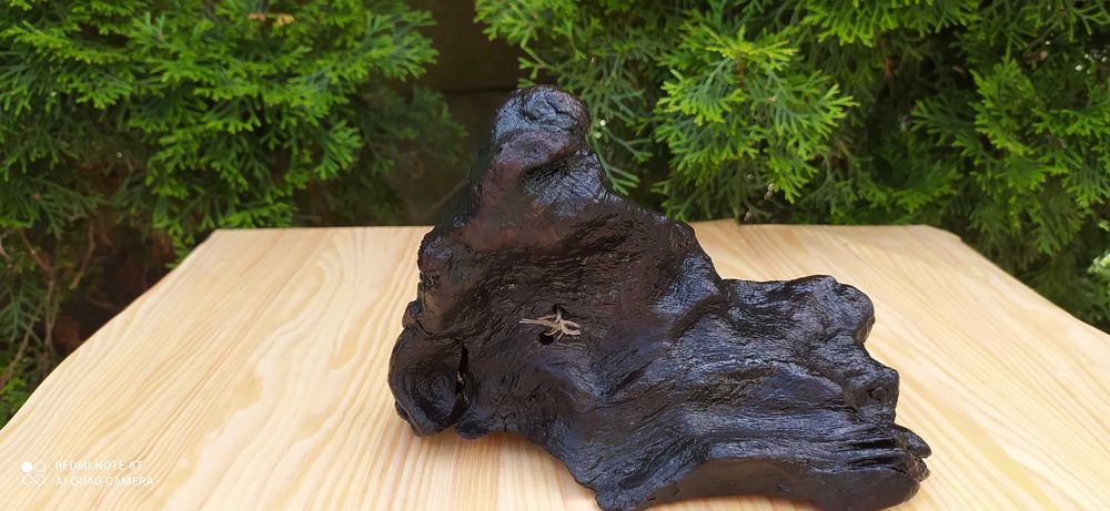 Korzeń do akwarium.