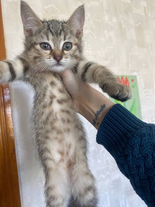 Радость в дом к деткам