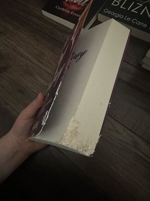 Zdradliwy los - Ana Rose