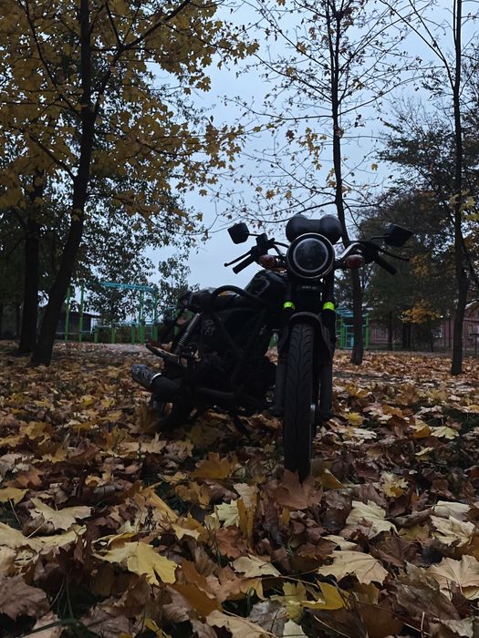 Продам мопед мустанг