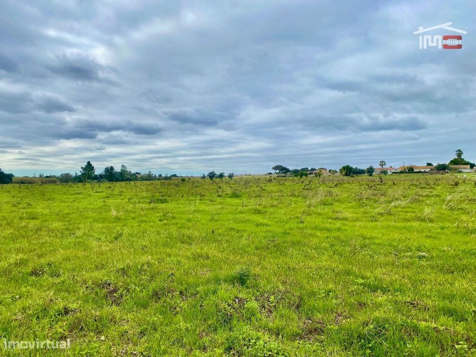 Terreno Rústico com 3.9ha Poceirão - Possibilidade de Construção Mo...