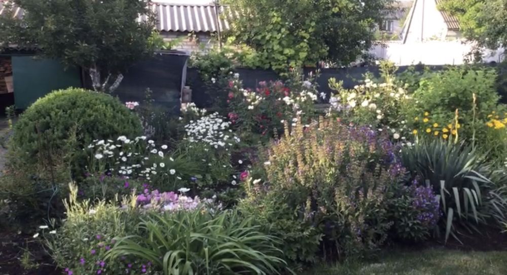 Продам будинок -дачу біля річки, р-н Самарівки