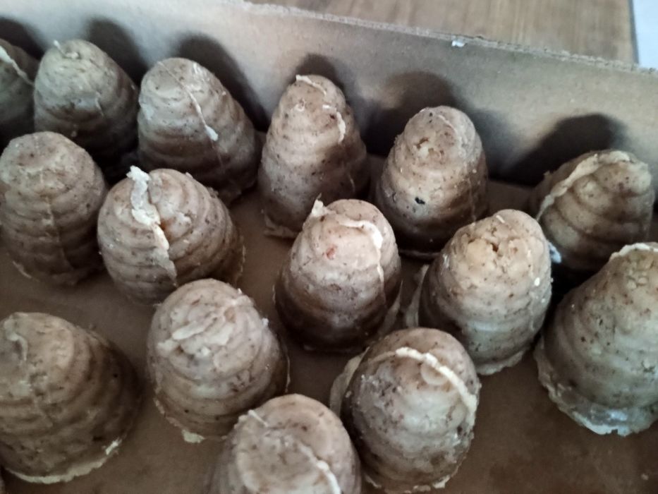 Świąteczne ciasteczka