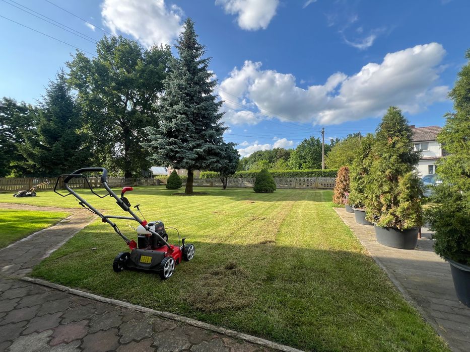 Regeneracja Trawnika Po Zimie/Wertykulacja/Areacja/Piaskowanie/Nawóz/