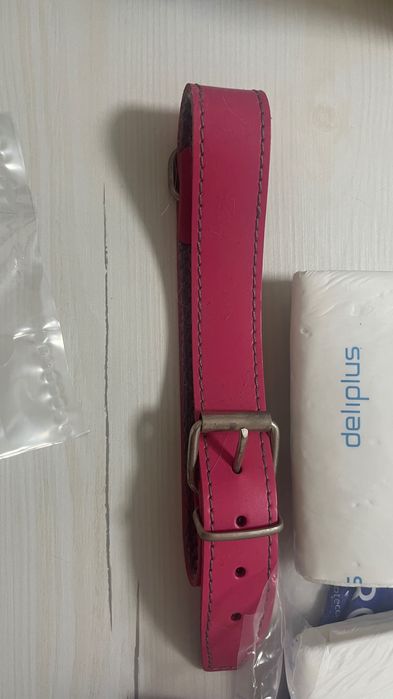 Conjunto para Cães | Acessórios+Higiene|Trela, Coleira, Fraldas & Mais