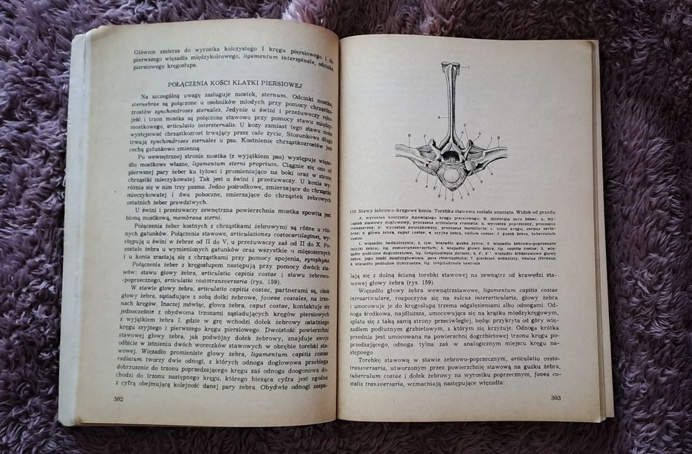 Anatomia zwierząt Krysiak komplet