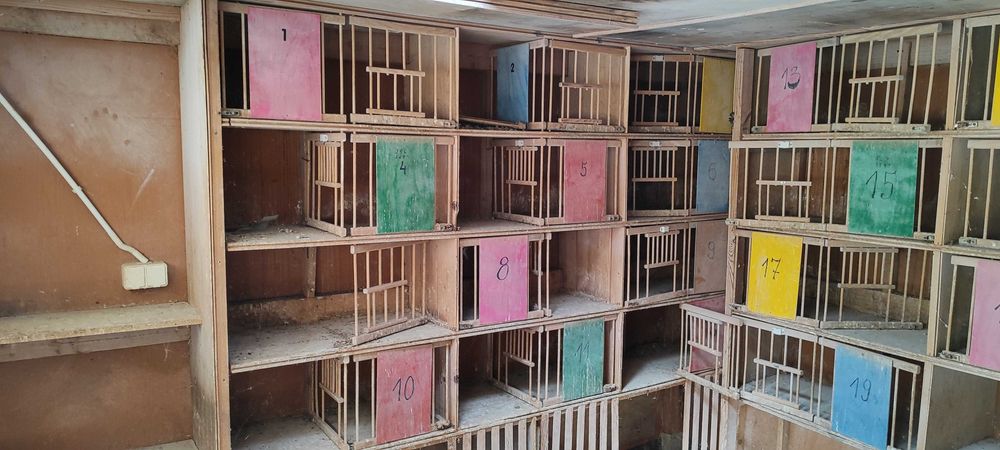 Sprzedaż Gołębników