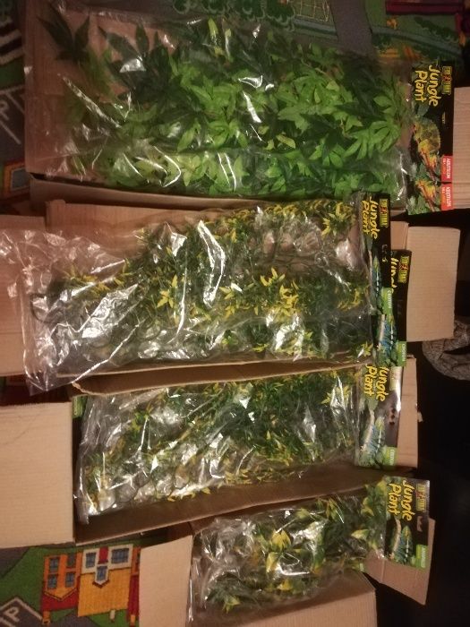 TERRARIUM rośliny Exoterra nowe terarium