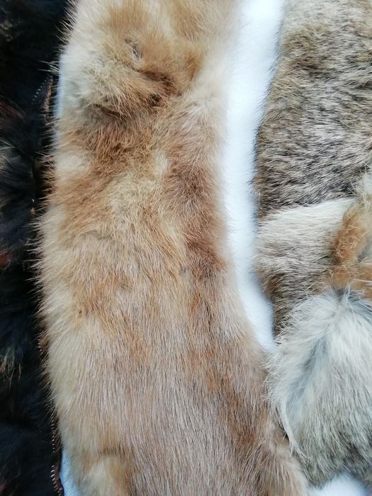 Меховые натуральние отрезы 7 шт.