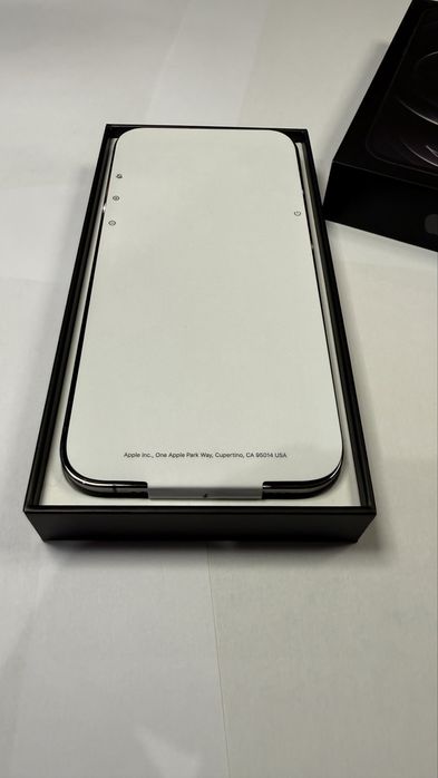 IPhone 12 Pro Max 256 GB