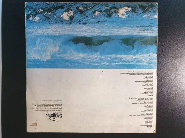 Disco vinil Tubullar Bells