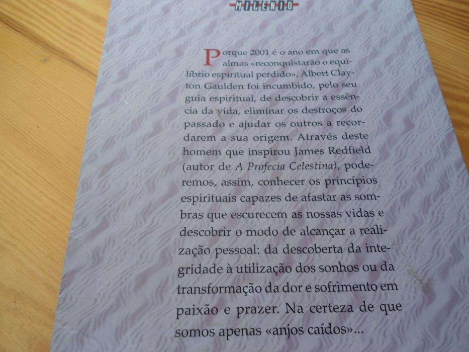 Enfrentar o Milénio de Albert Clayton Gaulden