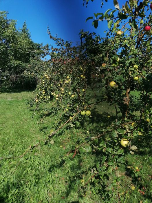 Dzialka Gdansk Osowa