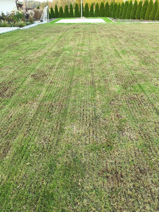 Usługi ogrodnicze aeracja nawadnianie wertykulacja piaskowanie