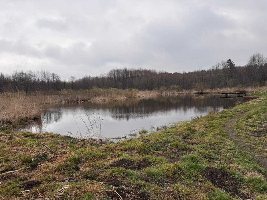 Mieszkanie 85m2 Prabuty Gąski | 80 arów terenu | Stawy i Las |