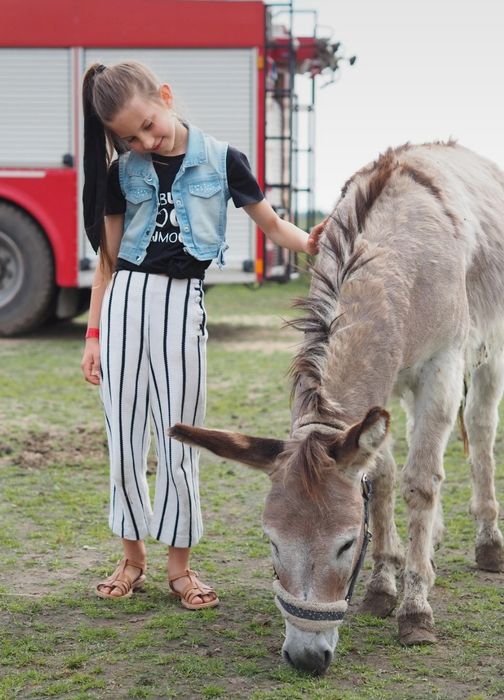 Paka dla dziewczynki 122 128 lato Zara reserved River island koszulki